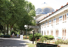 La métamorphose de Vichy