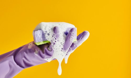 andrej-lisakov-bq6scQoQNJE-unsplash